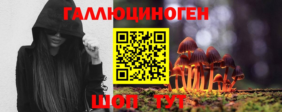 Обнинск  Галлюциногенные грибы MAGIC MUSHROOMS  Вход с VPN 